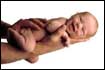 Non-profit Human Resources for the Eastern Sierra, Calif
