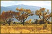 The Owens Valley, Eastern Sierra