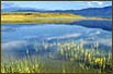 Crowley Lake, Eastern Sierra Nevada